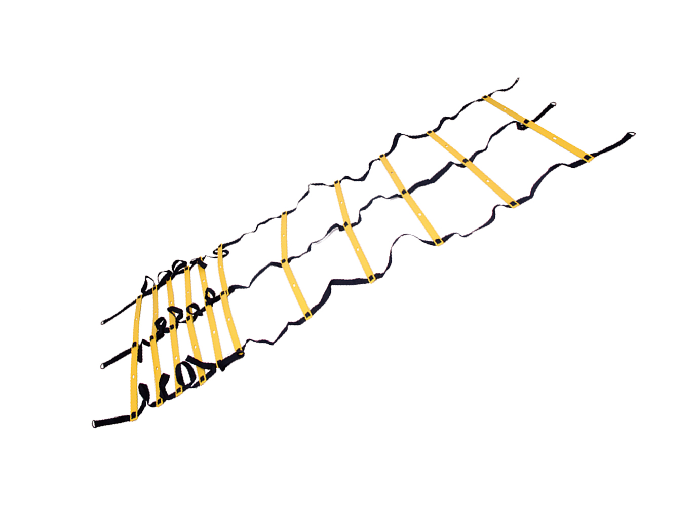 Agility ladder