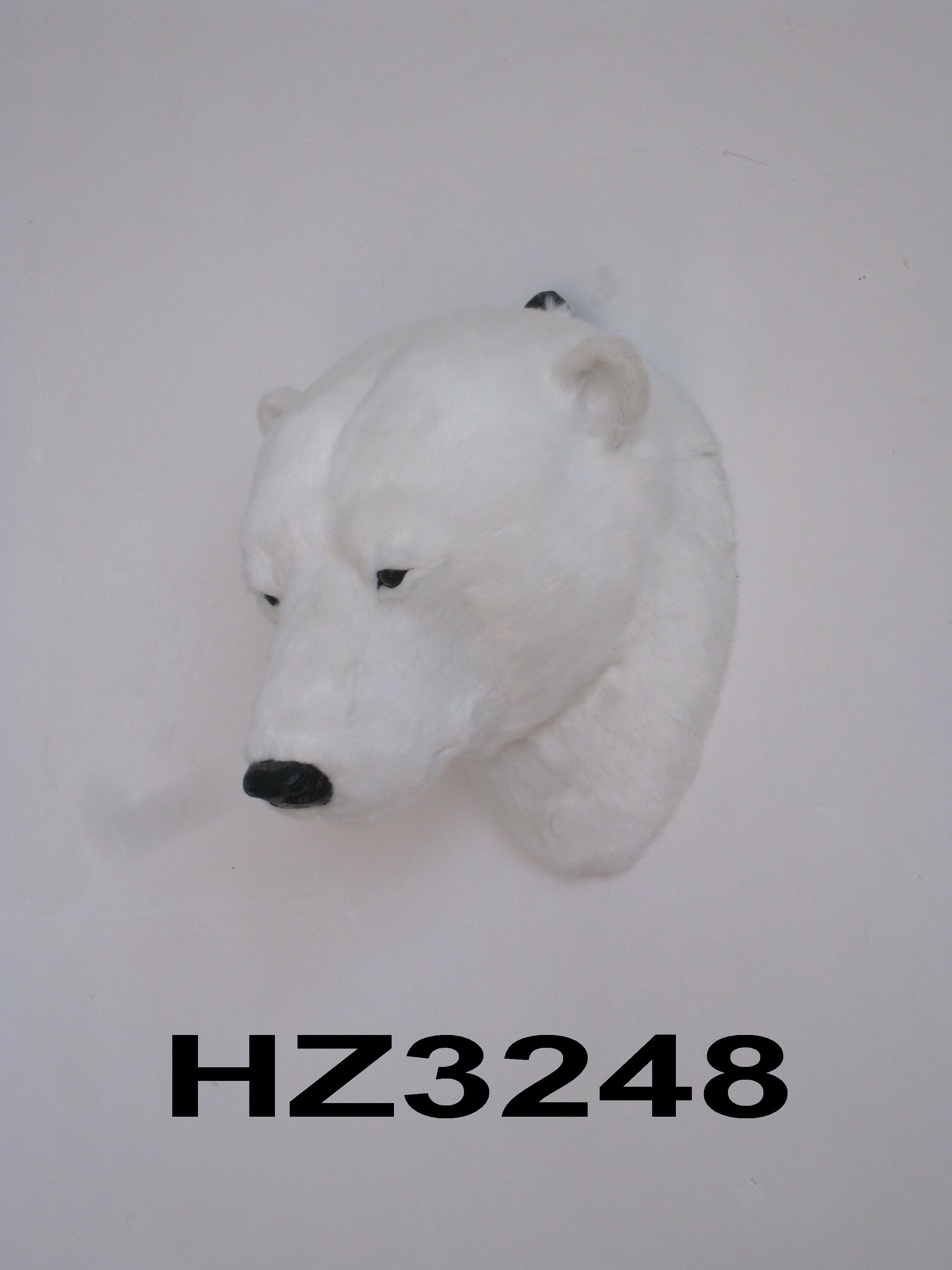 Polar Bear Head