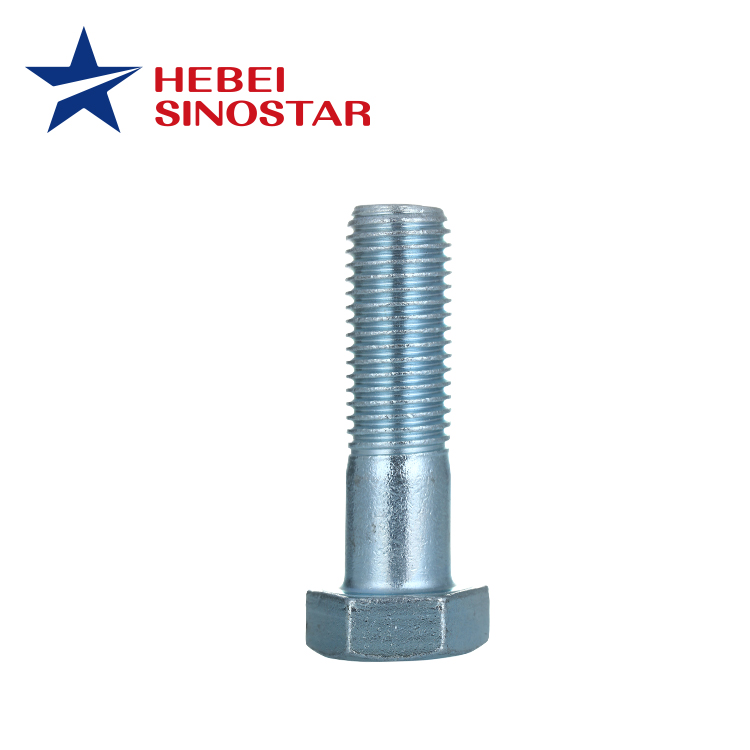 Hex Cap Bolt