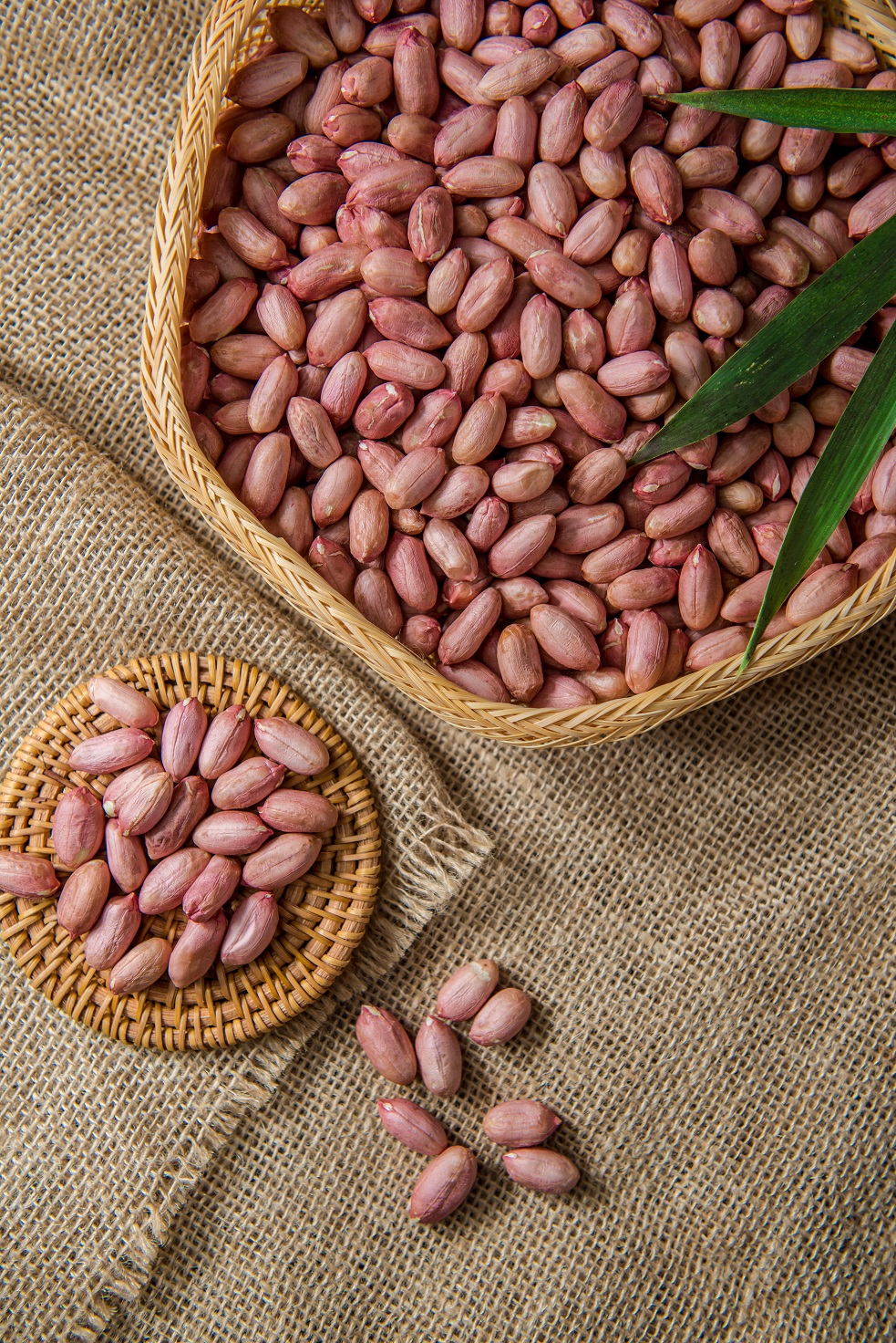 Peanut kernels