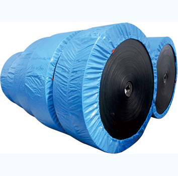 Conveyor belt