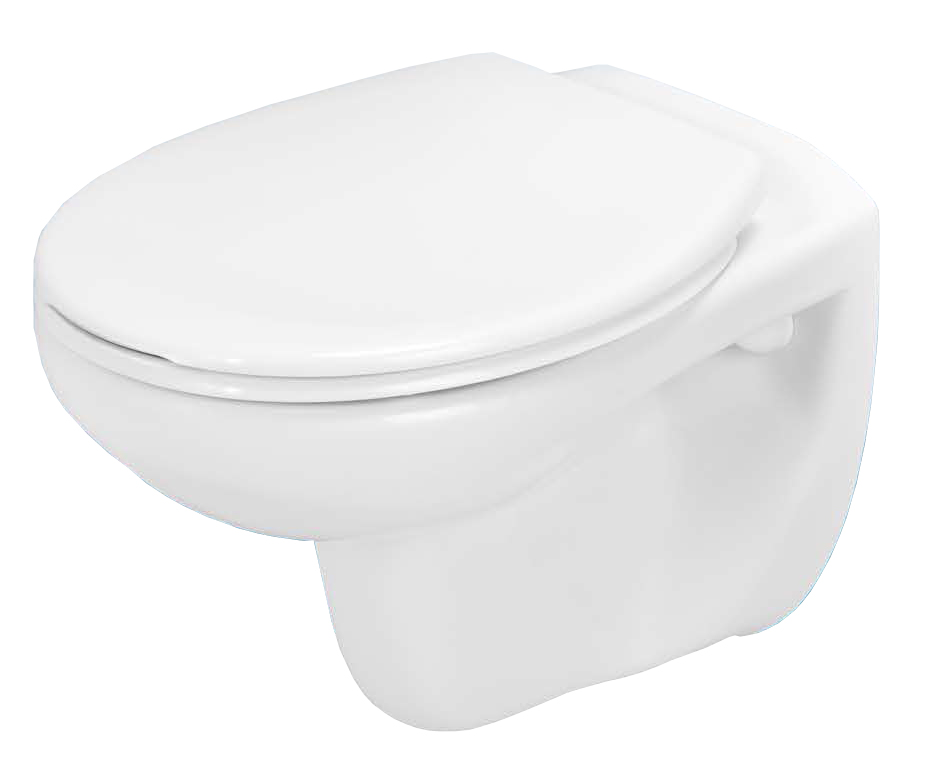 Wall hung toilet