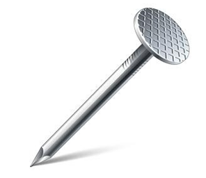 Common round nails