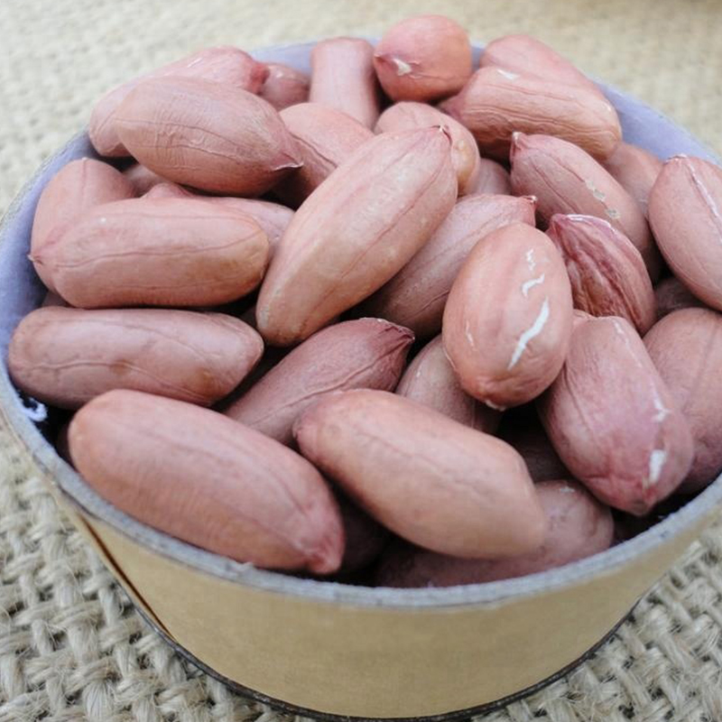 Peanut Kernels