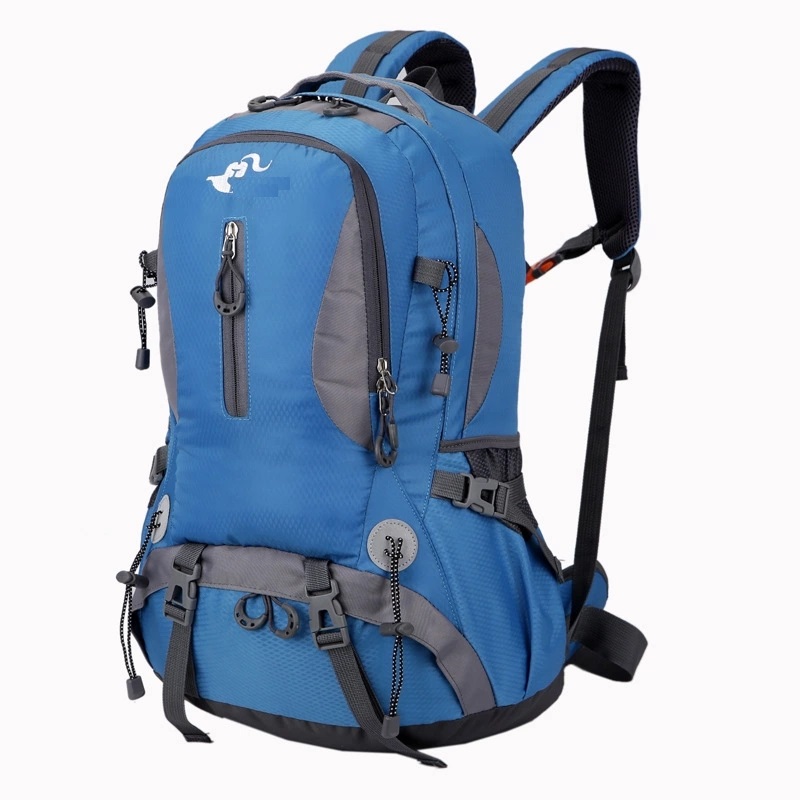 Outdoor mountainous backpack