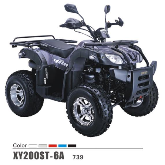 XY200ST-6A