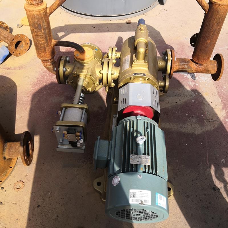 Bitumen Pump