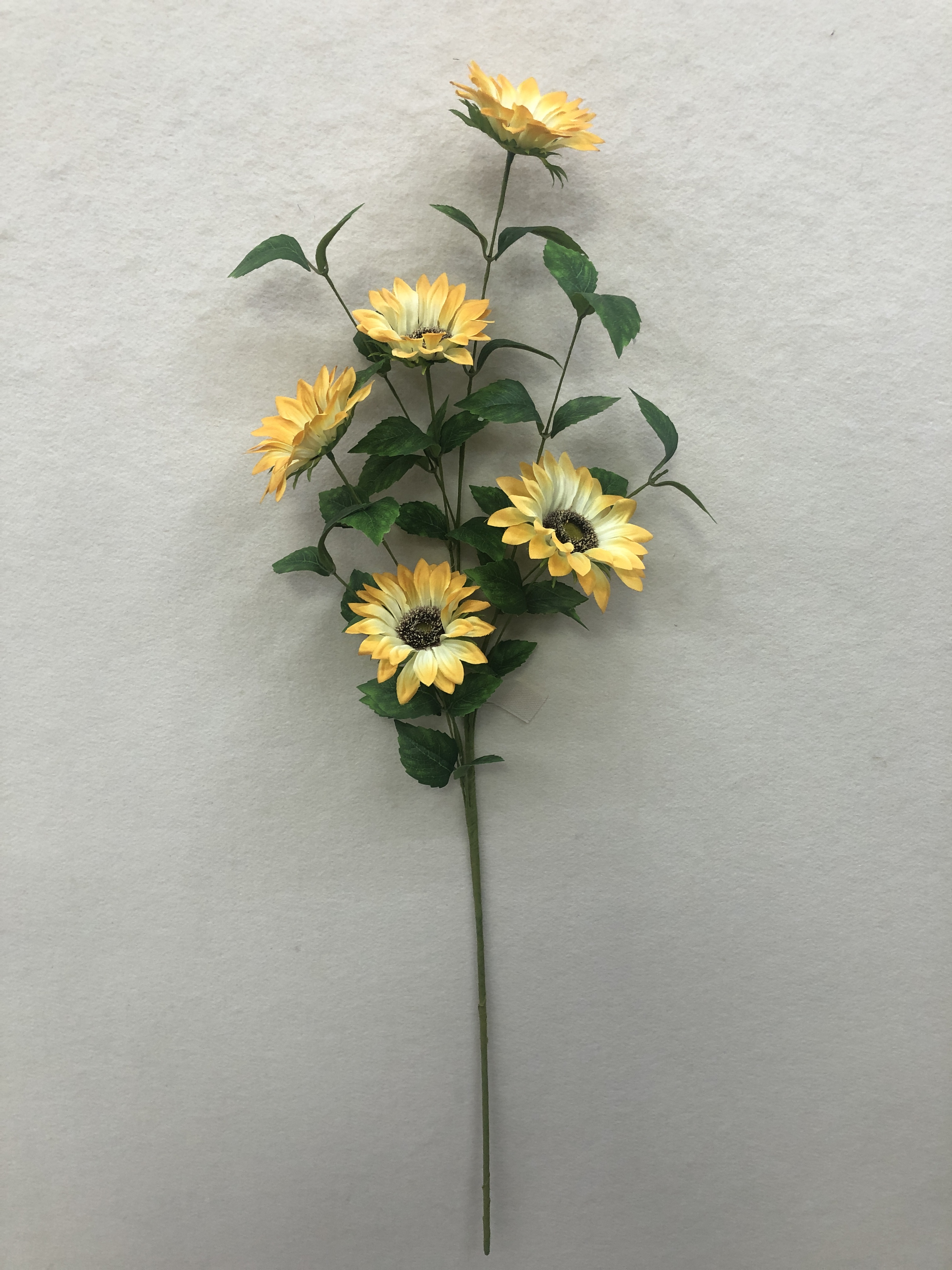Spring stem
