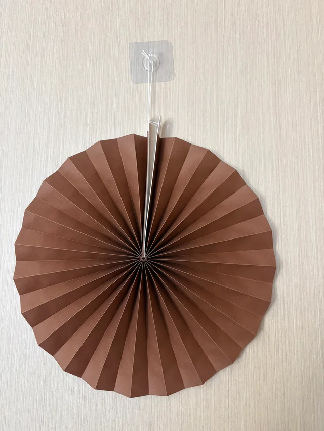 Hanging Paper Rosette Fan