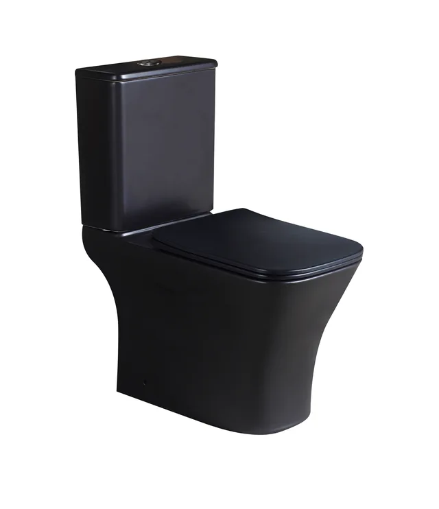 Matte black two piece toilet