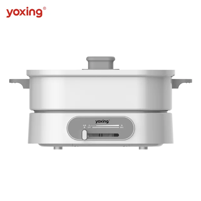 Multi cooker