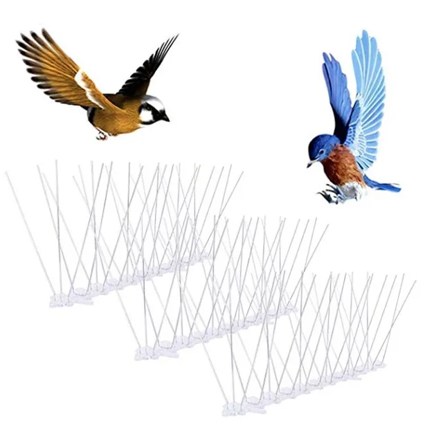 Bird Spikes