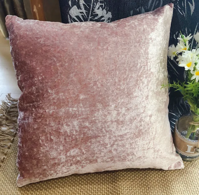 Velvet Cushion