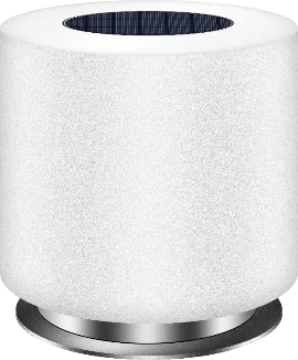 Solar Garden Light