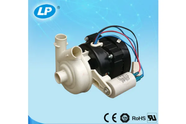 Capacitor motor