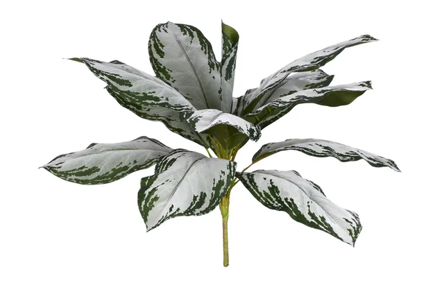 Fabric leaves x 12 set of leaves