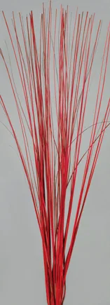 Straight Willow(dry flower;dried flower)
