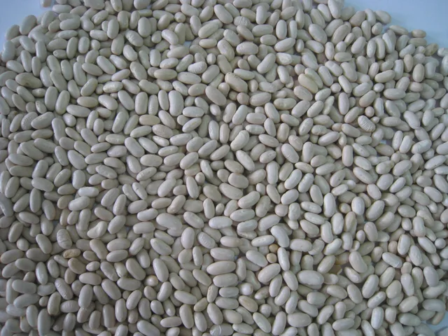 White Kidney Beans
