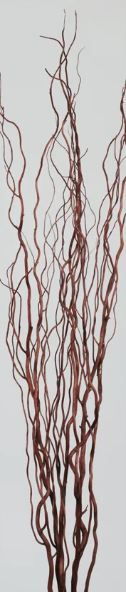 Curly Willow(dry flower;dried flower)