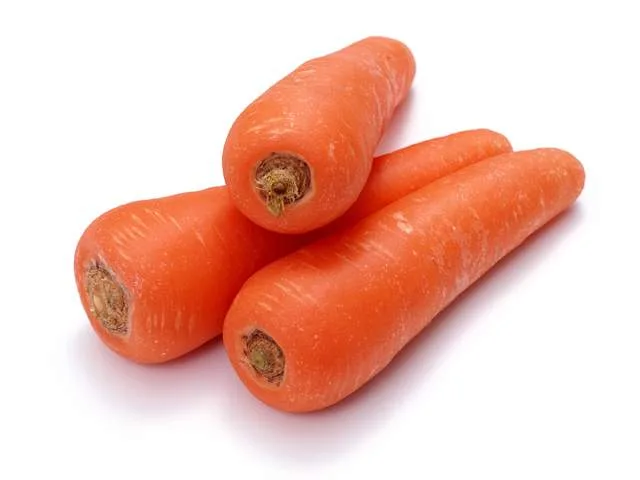Fresh Carrot