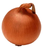 Fresh Onion