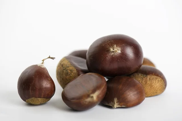 Fresh Chestnut