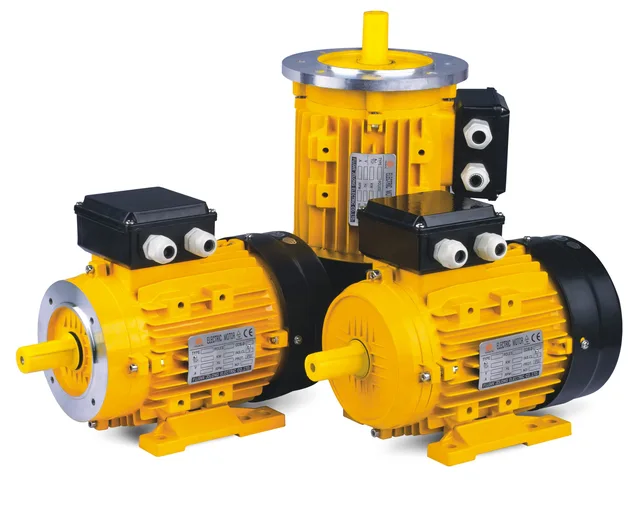 Ms/Ems/Hms Three Phase Motor