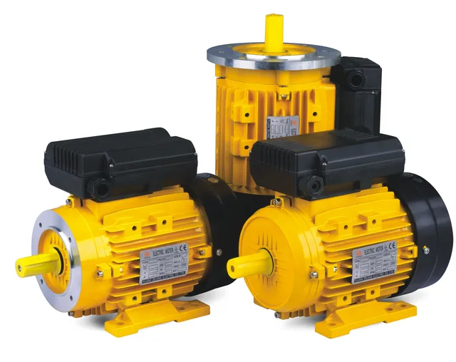 Single Phase Motor