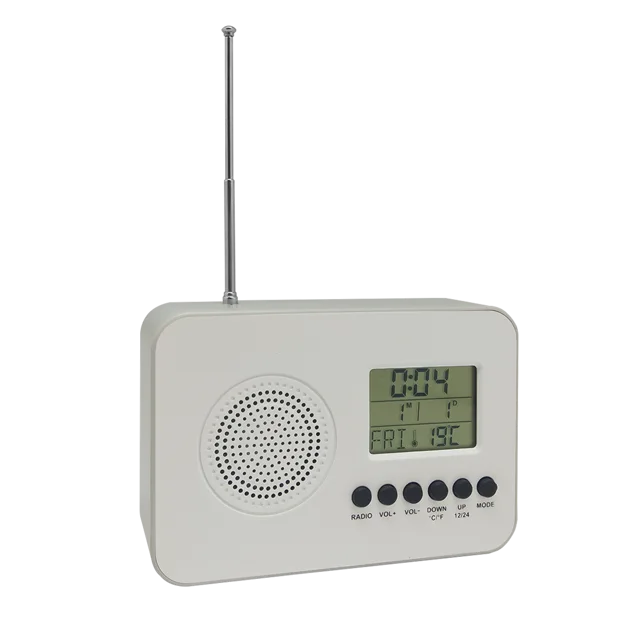 Fm radio alarm LCD digital clockAN0325