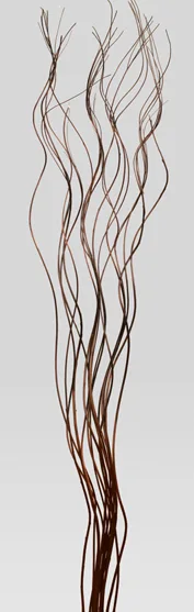 Magic Ting(dry flower;dried flower)