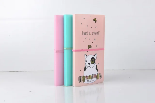Display Books CHF-213