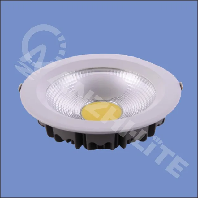 LED Down Lamp
