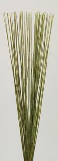 Mini Bamboo Cane(dry flower;dried flower)