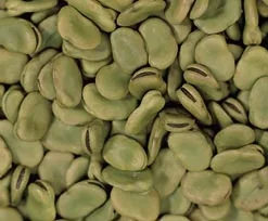 Broad Beans