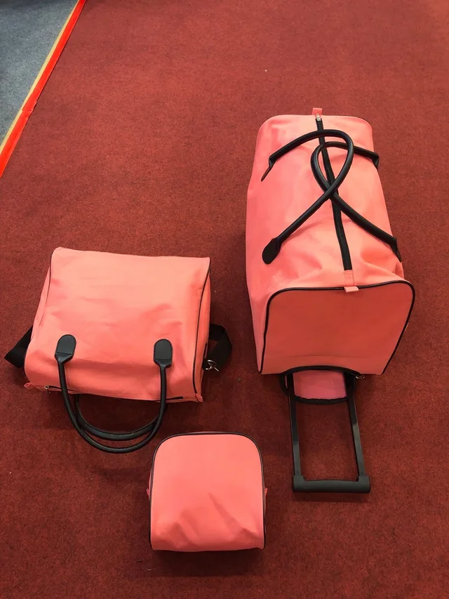Promotion bag