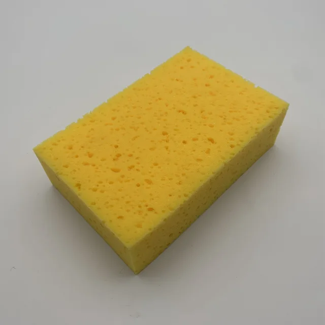 Wash Sponge