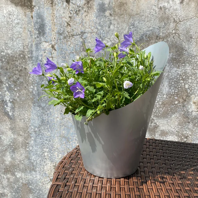 Slant sorbet plastic cover pot