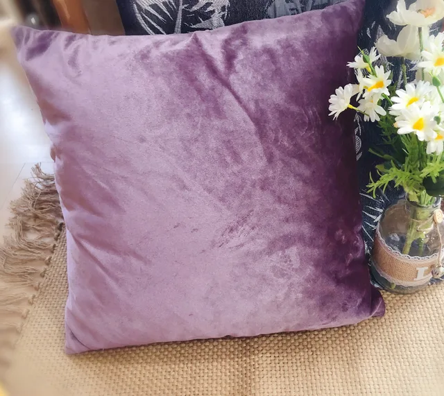 Velvet Cushion