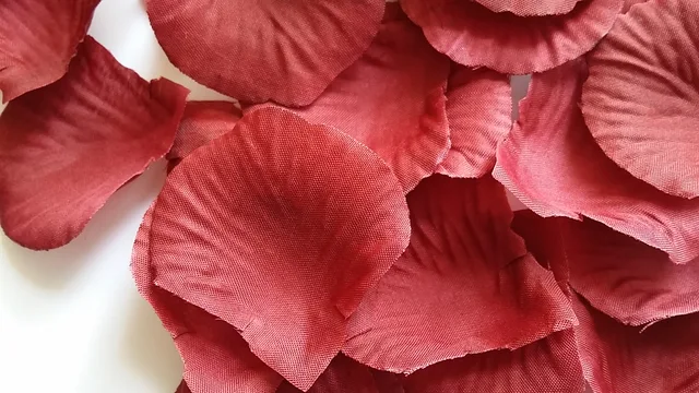 Love petals