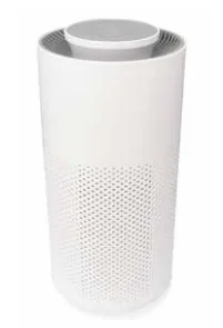 Air purifier AP010