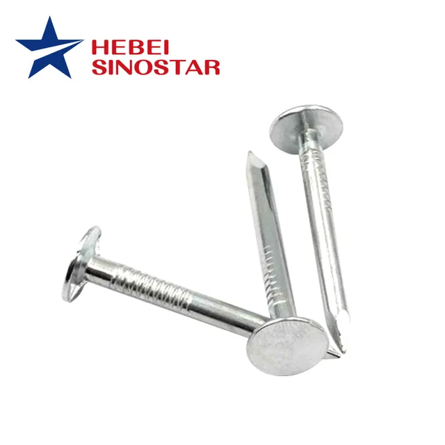 Flat Head Nail