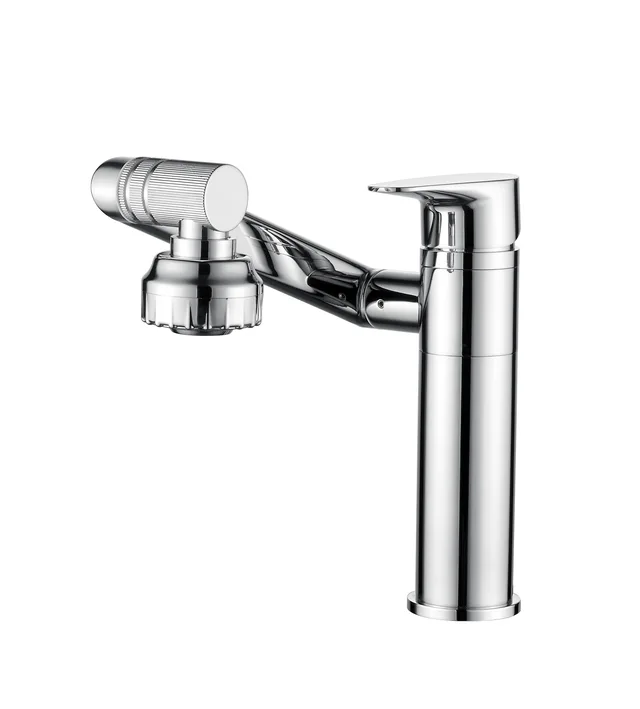 Multi-function Kitchen Mixer