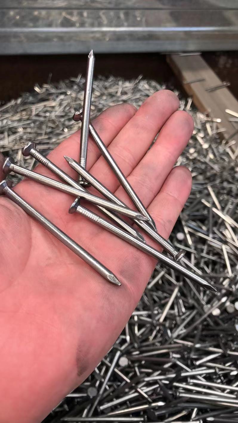 Common Nails /Clavos