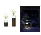 Solar Garden Light