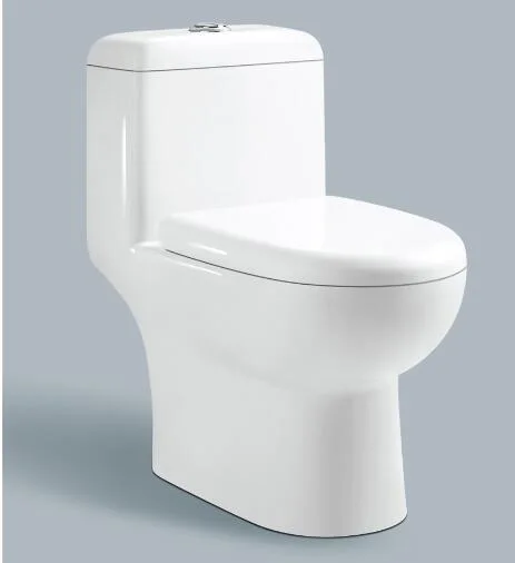 One piece toilet