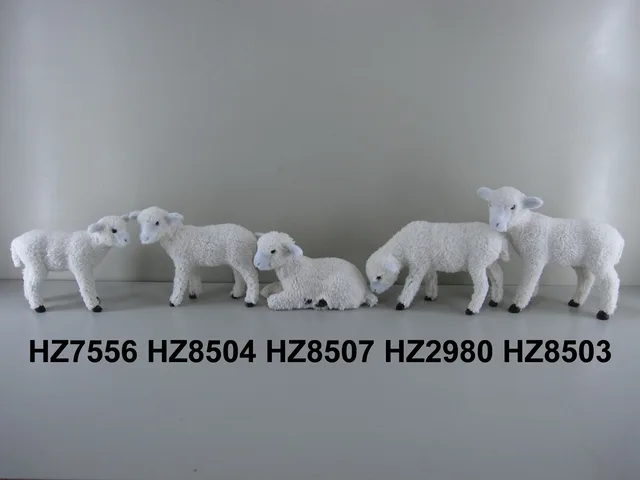 SHEEP