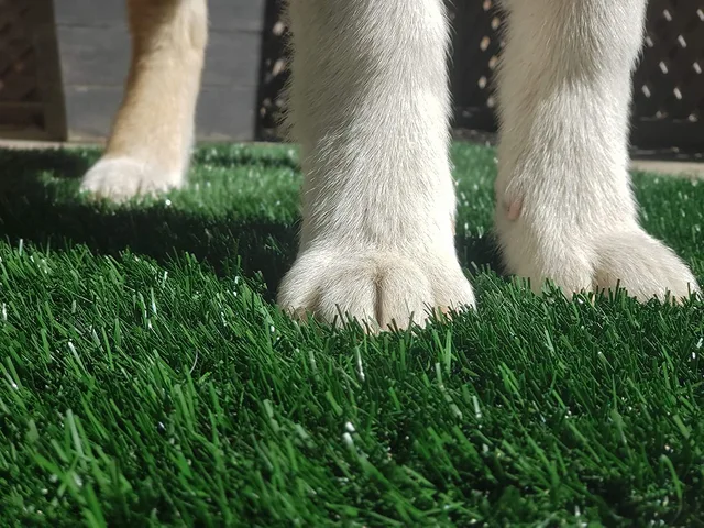 Pets professional antibacterial grass 30mm all green artificial synthetic grass