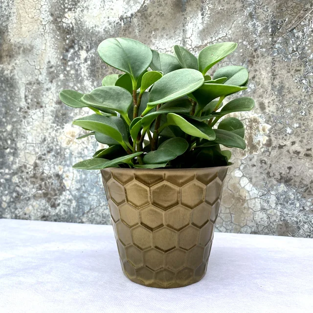 Hexagons emboss plastic cover pot