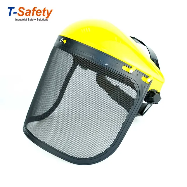 Face Shield