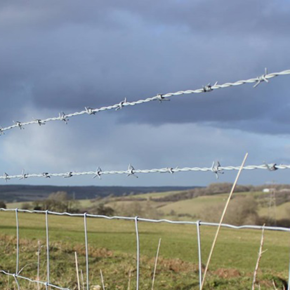 Barbed Wire Hot dipped Galvanized Barbed Wire